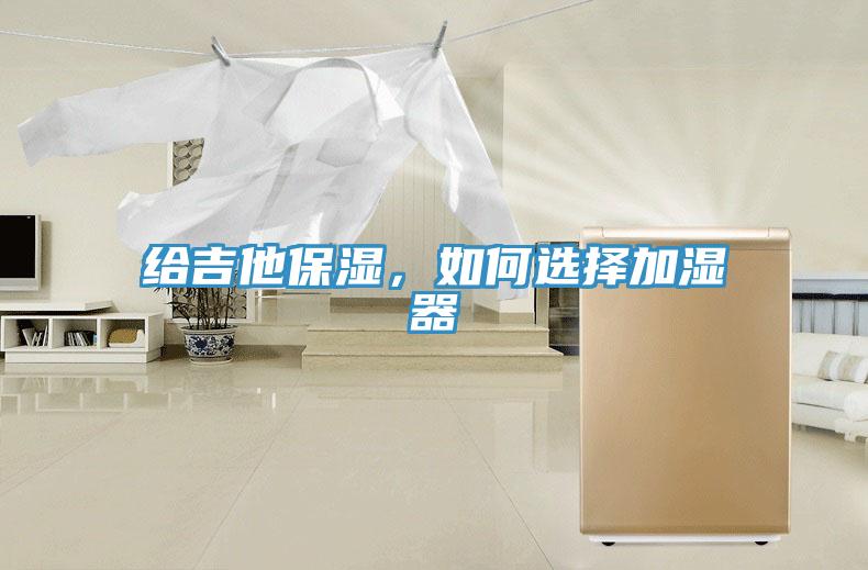 给吉他保湿，如何选择加湿器