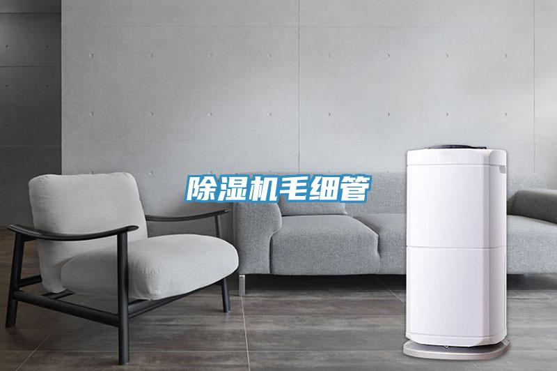 好色先生免费APP毛细管