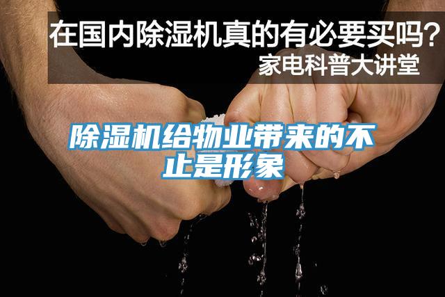 好色先生免费APP给物业带来的不止是形象