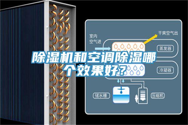 好色先生免费APP和空调除湿哪个效果好？