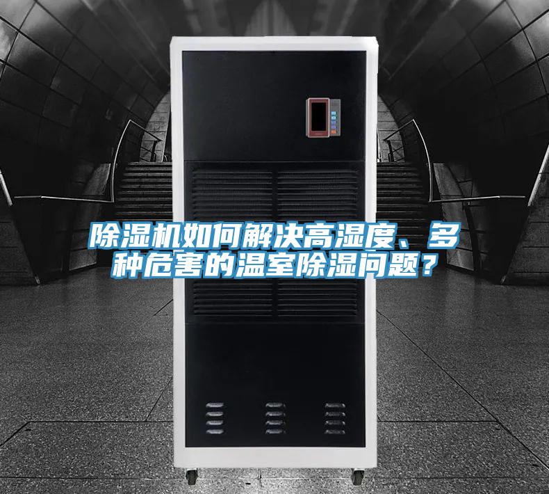 好色先生免费APP如何解决高湿度、多种危害的温室除湿问题？