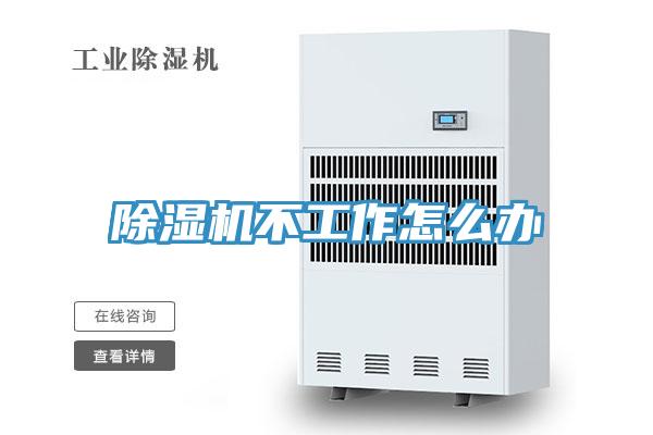 好色先生免费APP不工作怎么办