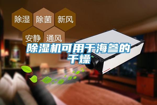 好色先生免费APP可用于海参的干燥