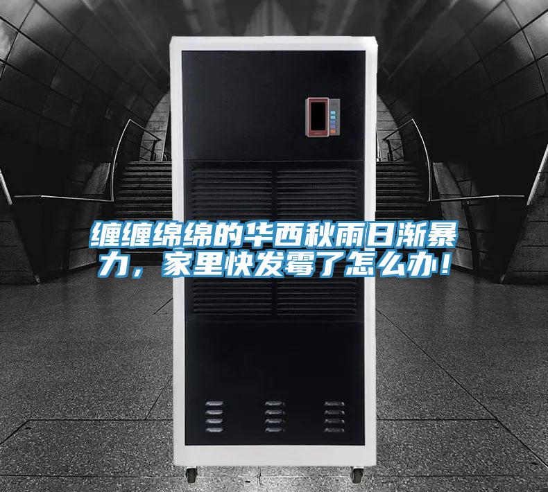 缠缠绵绵的华西秋雨日渐暴力，家里快发霉了怎么办！