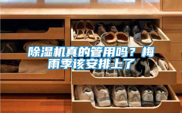 好色先生免费APP真的管用吗？梅雨季该安排上了