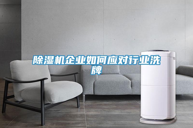 好色先生免费APP企业如何应对行业洗牌