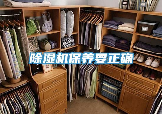 好色先生免费APP保养要正确