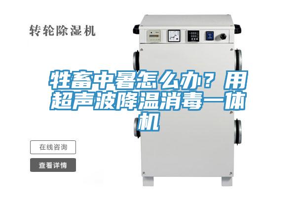 牲畜中暑怎么办？用超声波降温消毒一体机