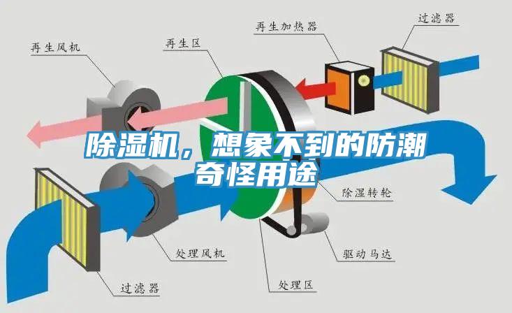 好色先生免费APP，想象不到的防潮奇怪用途