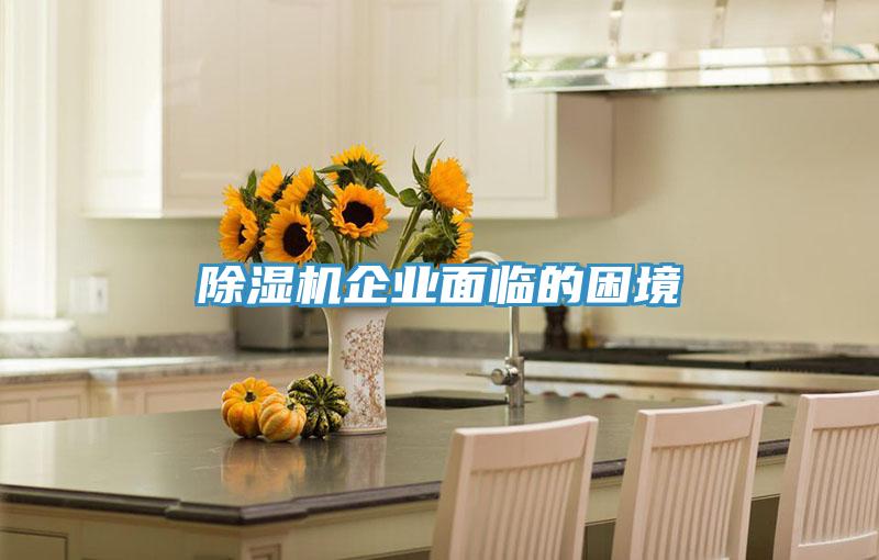 好色先生免费APP企业面临的困境