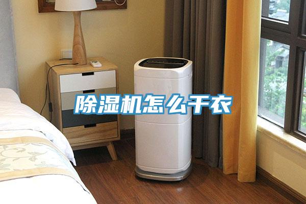 好色先生免费APP怎么干衣