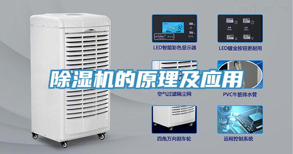好色先生免费APP的原理及应用