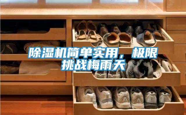 好色先生免费APP简单实用，极限挑战梅雨天