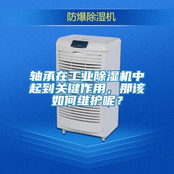 轴承在工业好色先生免费APP中起到关键作用，那该如何维护呢？