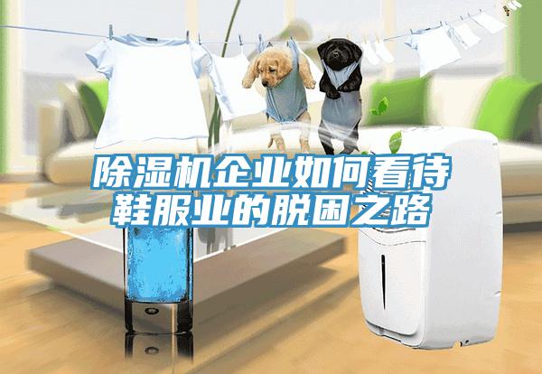 好色先生免费APP企业如何看待鞋服业的脱困之路