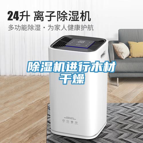 好色先生免费APP进行木材干燥