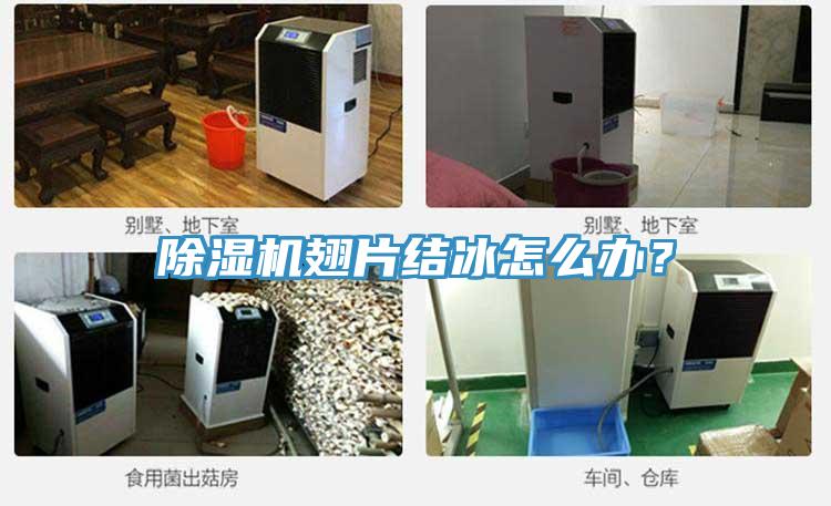 好色先生免费APP翅片结冰怎么办？