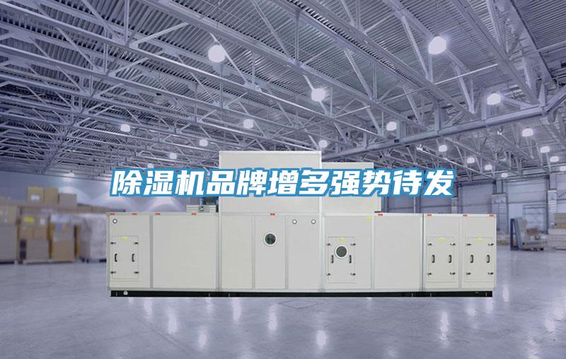 好色先生免费APP品牌增多强势待发