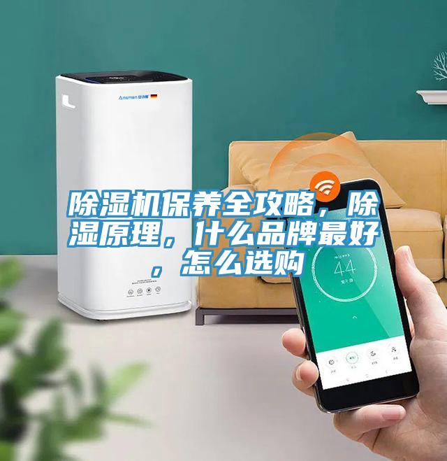 好色先生免费APP保养全攻略，除湿原理，什么品牌最好，怎么选购