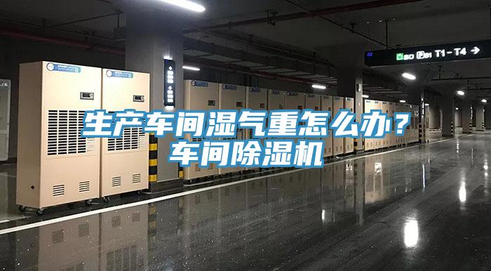生产车间湿气重怎么办？车间好色先生免费APP