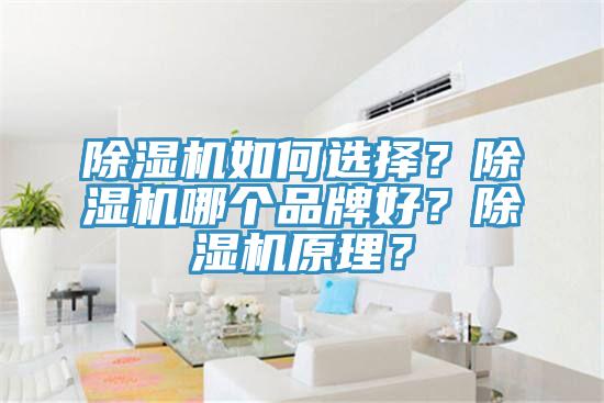 好色先生免费APP如何选择？好色先生免费APP哪个品牌好？好色先生免费APP原理？