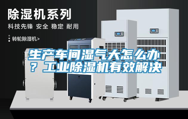 生产车间湿气大怎么办？工业好色先生免费APP有效解决