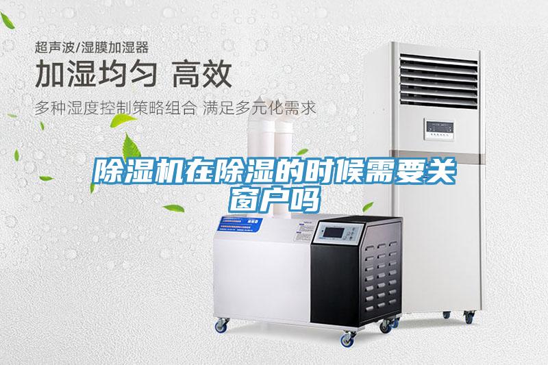 好色先生免费APP在除湿的时候需要关窗户吗