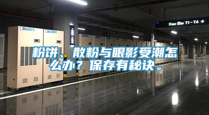 粉饼、散粉与眼影受潮怎么办？保存有秘诀。