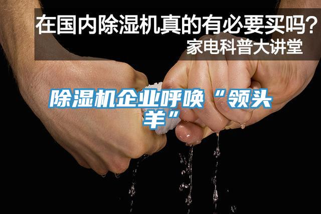 好色先生免费APP企业呼唤“领头羊”