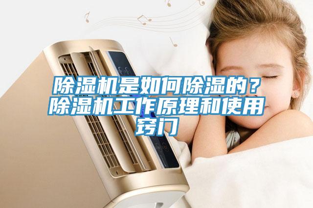 好色先生免费APP是如何除湿的？好色先生免费APP工作原理和使用窍门