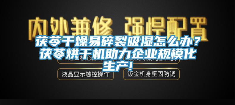茯苓干燥易碎裂吸湿怎么办？茯苓烘干机助力企业规模化生产!