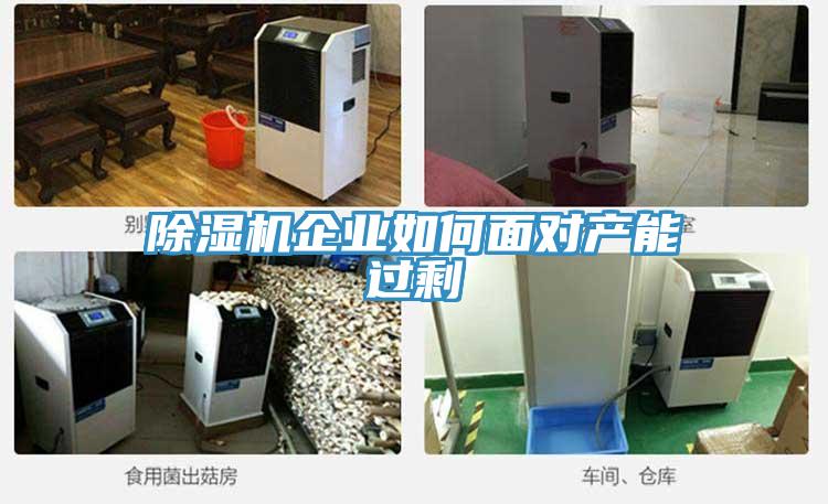 好色先生免费APP企业如何面对产能过剩