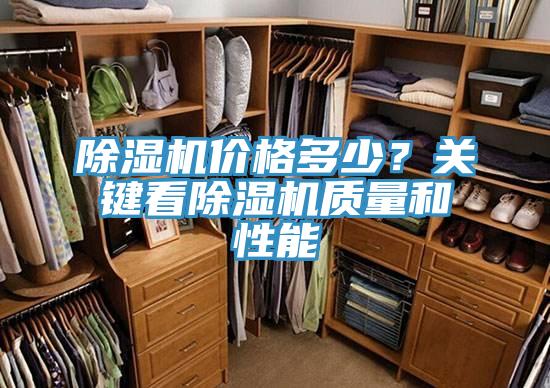 好色先生免费APP价格多少？关键看好色先生免费APP质量和性能