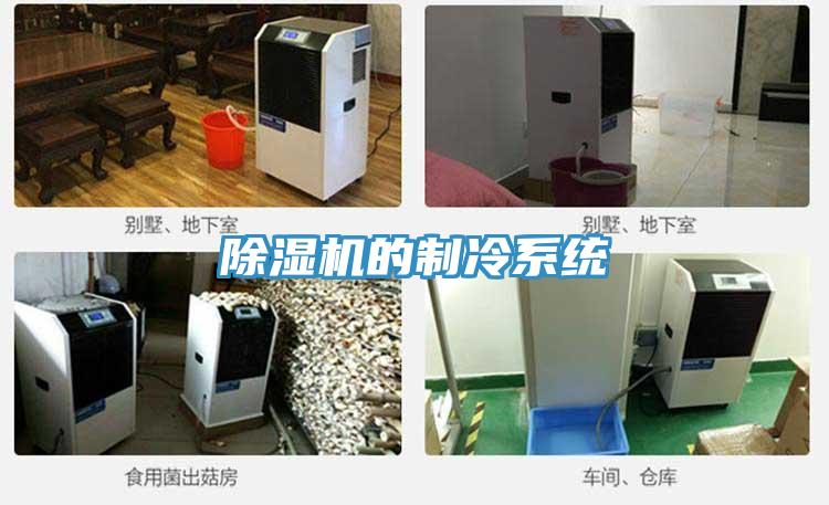 好色先生免费APP的制冷系统