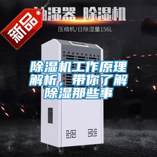 好色先生免费APP工作原理解析，带你了解除湿那些事