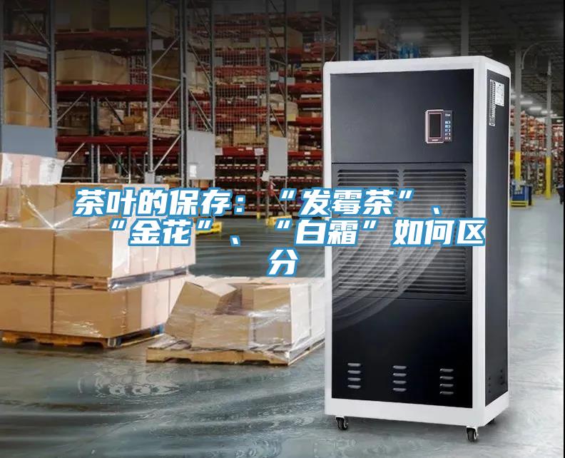 茶叶的保存：“发霉茶”、“金花”、“白霜”如何区分