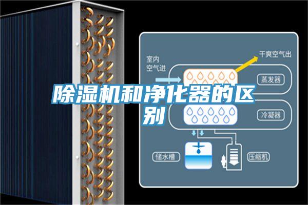 好色先生免费APP和净化器的区别