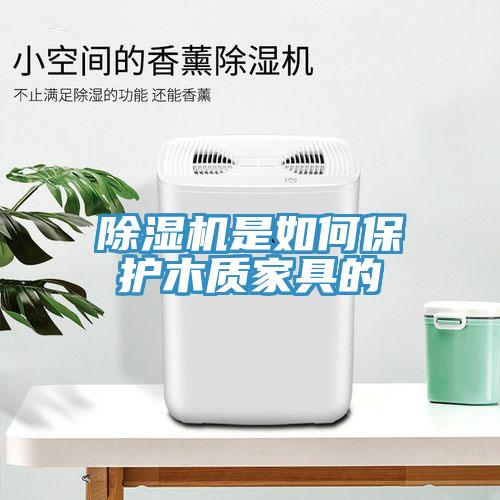 好色先生免费APP是如何保护木质家具的