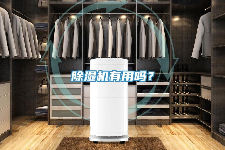 好色先生免费APP有用吗？
