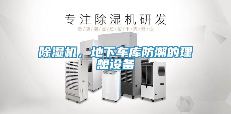 好色先生免费APP，地下车库防潮的理想设备