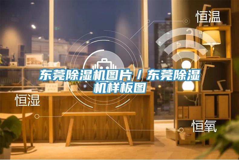 东莞好色先生免费APP图片／东莞好色先生免费APP样板图