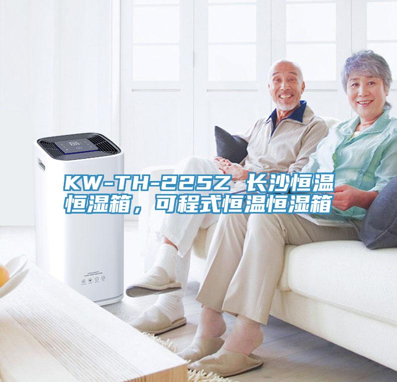 KW-TH-225Z 长沙恒温恒湿箱，可程式恒温恒湿箱