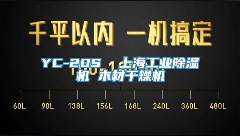 YC-20S  上海工业好色先生免费APP 木材干燥机
