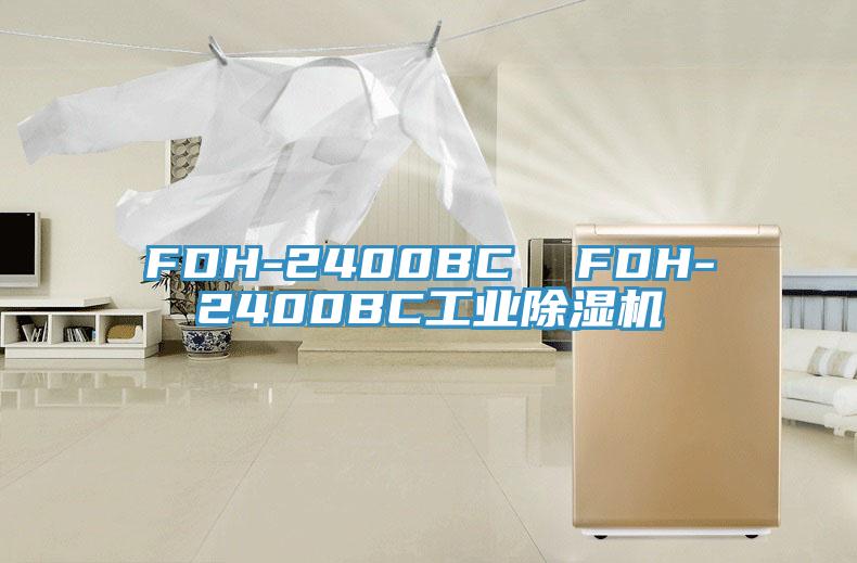 FDH-2400BC  FDH-2400BC工业好色先生免费APP