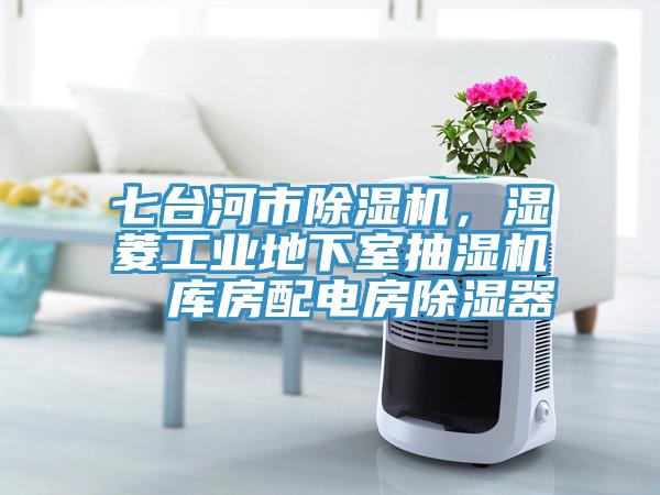 七台河市好色先生免费APP，湿菱工业地下室抽湿机  库房配电房除湿器