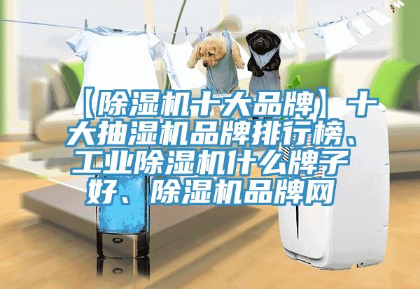 【好色先生免费APP十大品牌】十大抽湿机品牌排行榜、工业好色先生免费APP什么牌子好、好色先生免费APP品牌网