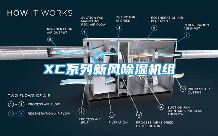 XC系列新风好色先生免费APP组