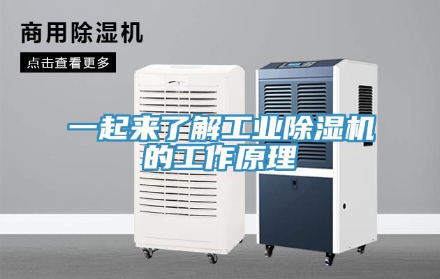 一起来了解工业好色先生免费APP的工作原理
