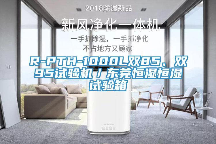 R-PTH-1000L双85、双95试验机／东莞恒湿恒湿试验箱