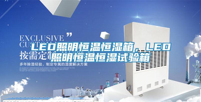 LED照明恒温恒湿箱，LED照明恒温恒湿试验箱